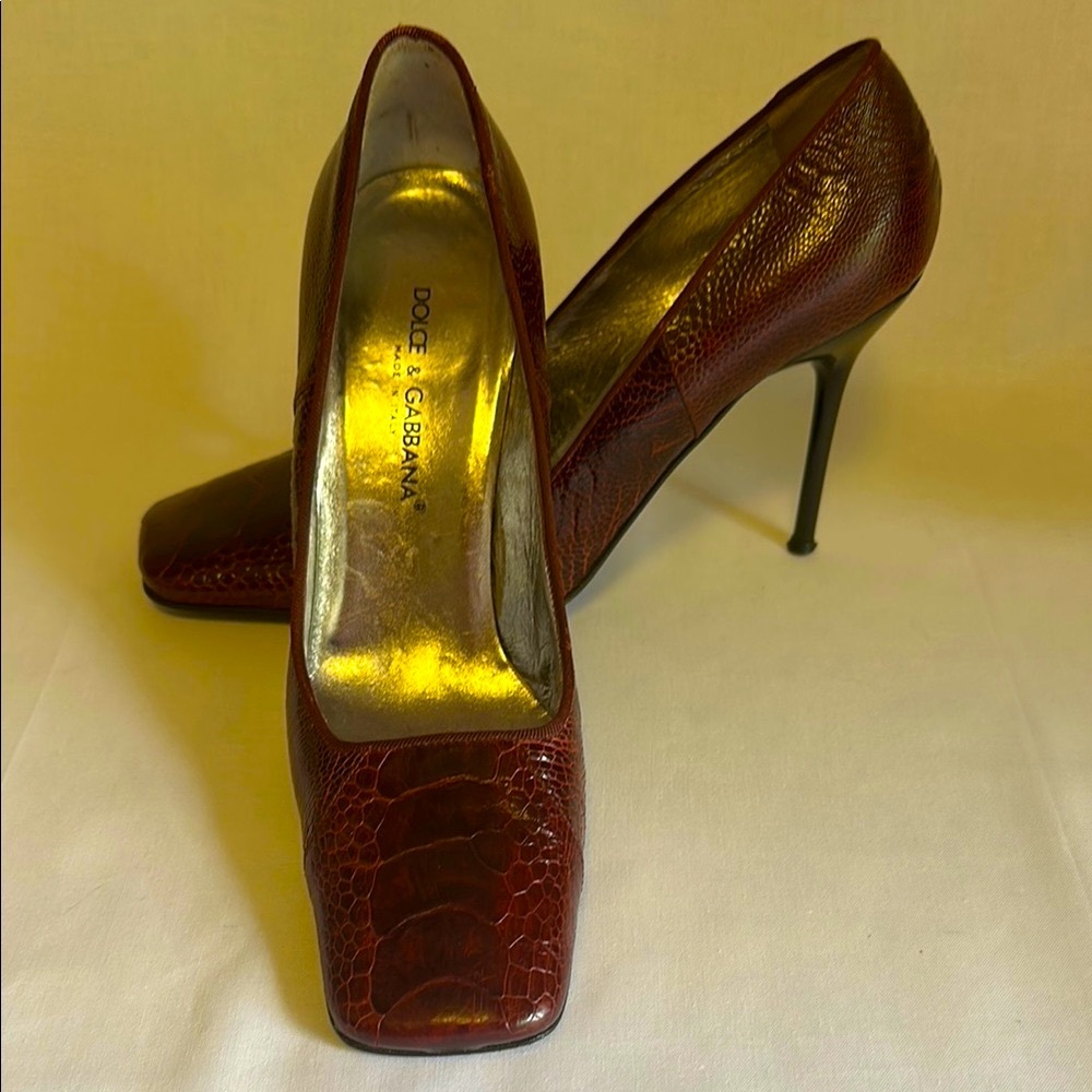 Dolce & Gabbana Exotic Heels